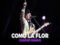 Como La Flor