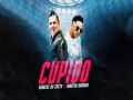 Cupido