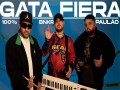 Gata Fiera Remix