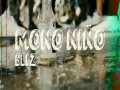 Mono Niño