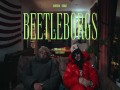 Beetleborgs