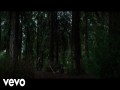 Daylight