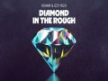Diamond In The Rough