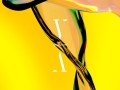 Fever