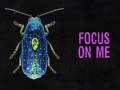 Focus On Me
