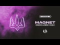 Magnet