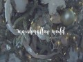 Marshmellow World