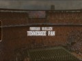 Tennessee Fan