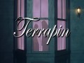 Terrapin