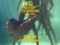 The Rush