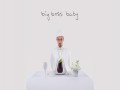 Big Boss Baby