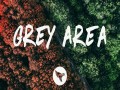 Grey Area