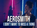 I Don't Want To Miss A Thing