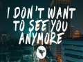 I Don't Want To See You Anymore (Pilton Remix)
