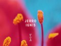 Ignis
