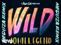 Wild (Meduza Remix)