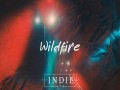 Wildfire