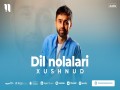 Dil Nolalari