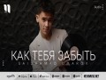 Kak Tebya Zabyt