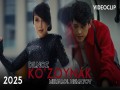 Ko’zoynak