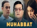 Muhabbat