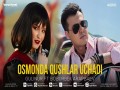 Osmonda Qushlar Uchadi