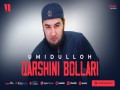 Qarshini Bollari