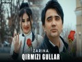 Qirmizi Gullar