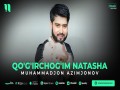 Qo'g'irchog'im Natasha