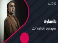 Aylanib
