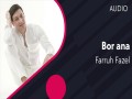 Bor Ana