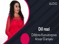 Dil Rozi