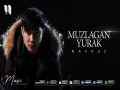 Muzlagan Yurak