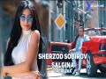Salgina