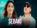 Sebaki