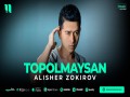 Topolmaysan