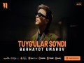 Tuyg'ular So'ndi