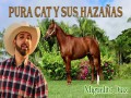 Pura Cat Y Sus Hazañas