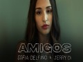 Amigos
