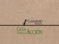 Visiones