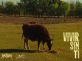 Vivir Sin Ti