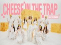 Cheese In The Trap