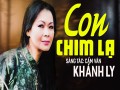 Con Chim Lạ