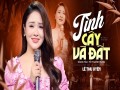 Tình Cây Và Đất