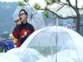 Dấu Mưa