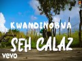 Kwandinobva