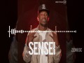 Sensei
