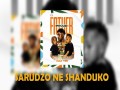 Sarudzo Ne Shanduko