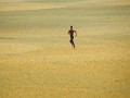 Run